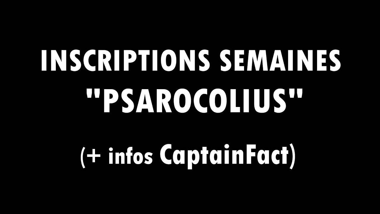 Aperçu vidéo Psarocolius