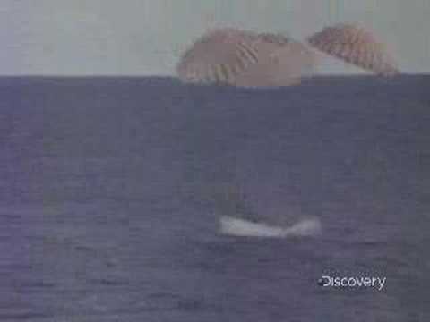 When We Left Earth: The NASA Missions - The Explorers