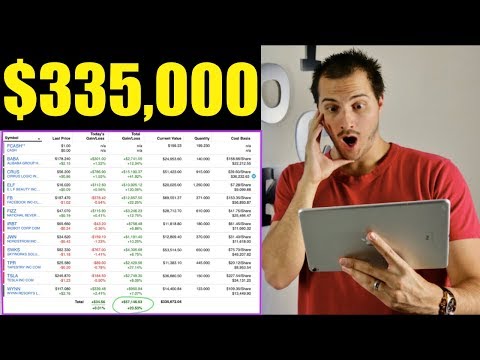 My $335,000 Stock Market Portfolio! Dividend Investing, Growth Investing, Passive income