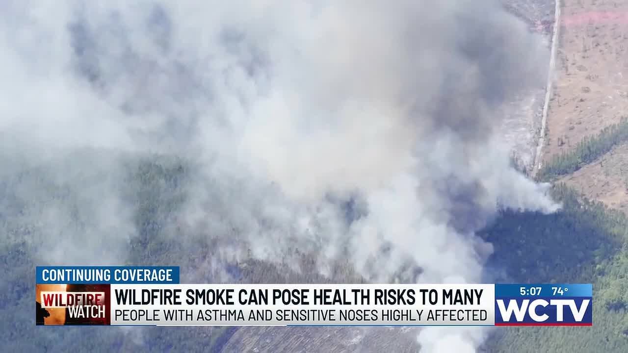 The Great Respirator Debate: N95 vs. KN95 in 2026