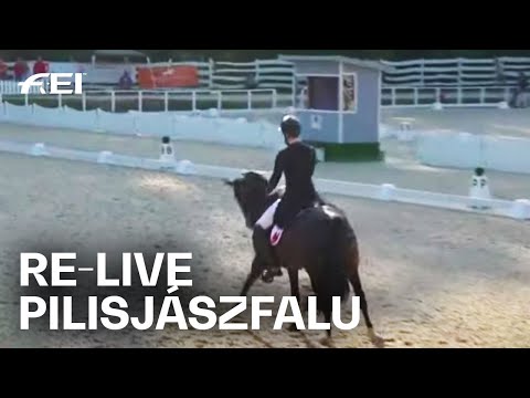 RE-LIVE | Dressage Individual Test Day 1 | Young Riders | FEI Dressage European Championships 2020