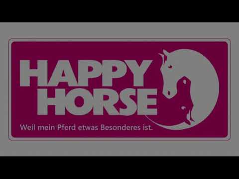 DJM Krumke 2015 Herren 07 Philipp Stippel