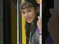 The Great Father Mammooty Miya George Anikha Sun NXT Malayalam