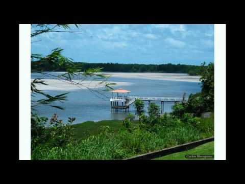 Salinas - Lucinha Bastos