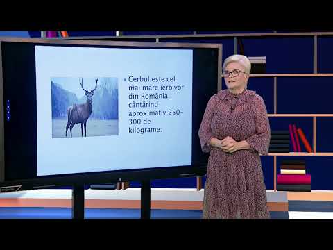 TeleŞcoala: Limba româna pentru ucraineni – lecţia 8, nivel A2 (@TVR2)