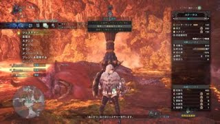 モンスターハンター：ワールド 回避ランス 試し切り歴戦ておにゃん
