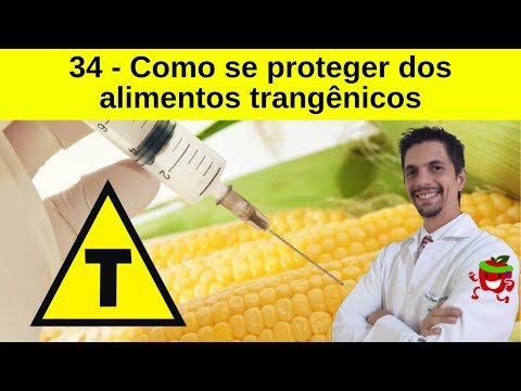 Como se proteger dos alimentos trangênicos?  (Dicas do Bem ep.34)