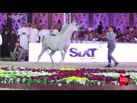 N.143 ABHA AL HAMAD - Asharqia Classic 2018