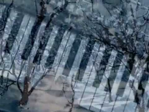D.J. Savage-Зимняя ночь