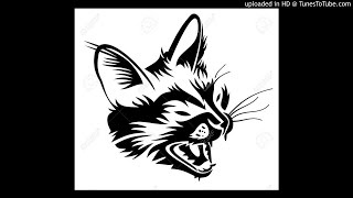 Hype Williams And With You Bring Your Brother Also