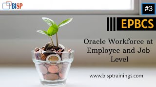 Oracle Workforce at Employee and Job Level
