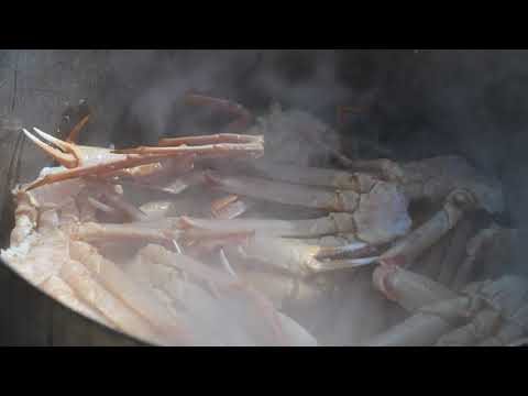 boiling big fresh crab legs on ice for their dinner