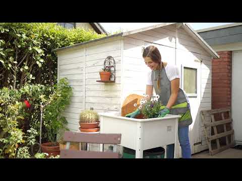 Anke Massmann Garden Impressions