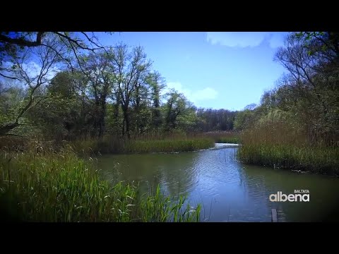 EN Nature Reserve Baltata - Albena's Beating Green Heart
