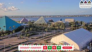 Moody Gardens Pyramid Cam LIVE | Galveston, Texas live webcam