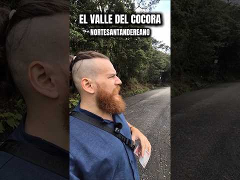 El VALLE del COCORA nortesantandereano #nortedesantander #cucuta