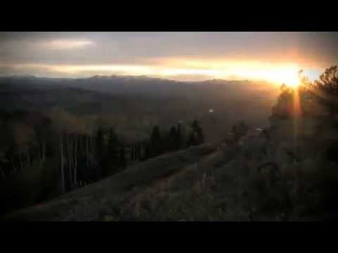 Pulse Factor TV: InTight & InTense