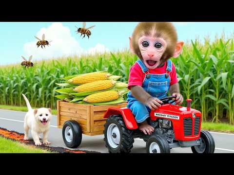 Monkey Nana is driving a tractor falls into  mysterious black hole encounters a fierce swarm of bees