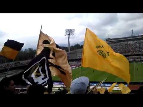 "negro jose,la rebel car'sc" Barra: La Rebel &bull; Club: Pumas &bull; País: México