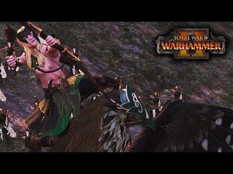 Wood Elves vs Chaos - HEAVY DUTY INFANTRY! - Total War: Warhammer 2 - Quick Battle #105