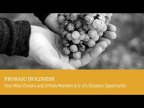 PROSAIC HOLINESS - Parshat KEDOSHIM