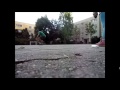SWITCH FLIP BODY