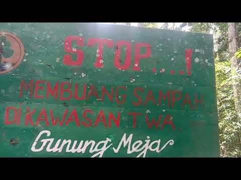 HUTAN KONSERVASI GUNUNG MEJA MANOKWARI PAPUA BARAT