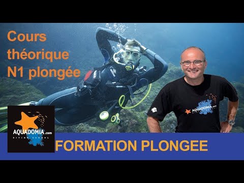 Cours N1 plongée à partager : apprendre la plongée, toute la théorie du niveau 1 plongée en 20 min !