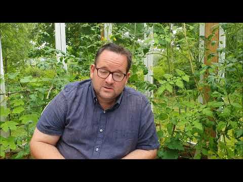 Sommarandakt från Centrumkyrkan i Säffle 1 augusti 2021