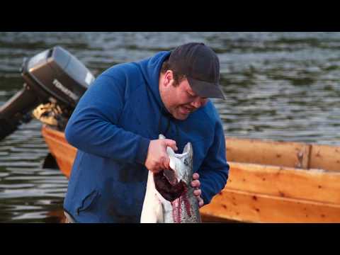 Epic salmon fishing in Norway - Alta River
