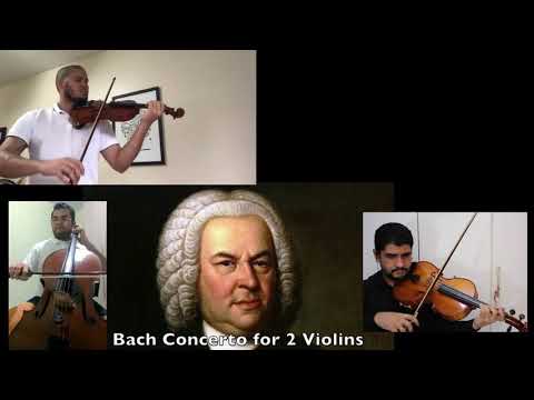 Johann Sebastian Bach - Concerto for 2 Violins in D minor- BWV 1043- Vivace