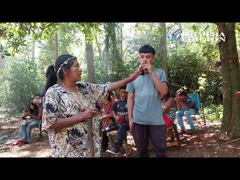 Arauco en Misiones: visita a la Aldea Okä Porã en Puerto Libertad