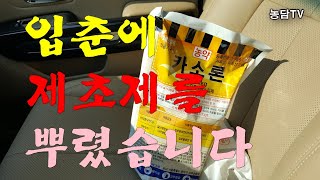 입춘에 제초제를 뿌리면 한 해가 편안합니다.
