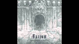 Burzum - From the Depths of Darkness  [Full-length - 2011]