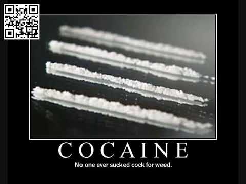 Cocaine DJ pavo & Dj zany