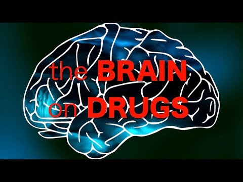 What Happens to your Brain on DRUGS?