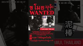 【監視カメラ】泥棒激撮の瞬間！#thailand #kohsamui #ขโมย