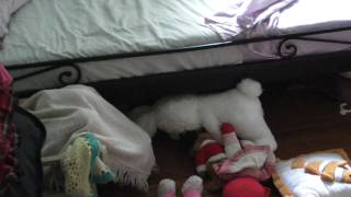 Who&#39;s been sleeping in my bed?