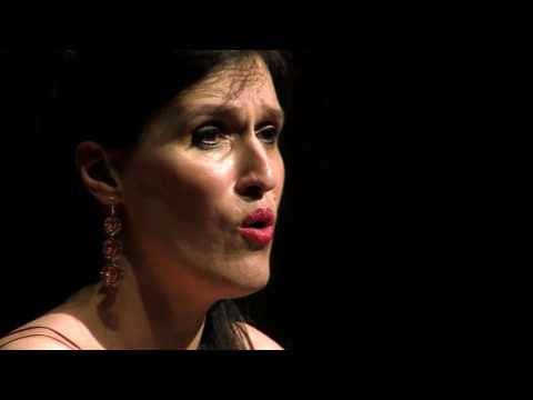 J. Canteloube (arr. A. Van Parys) - Chants d'Auvergne (with Claire Lefilliâtre)