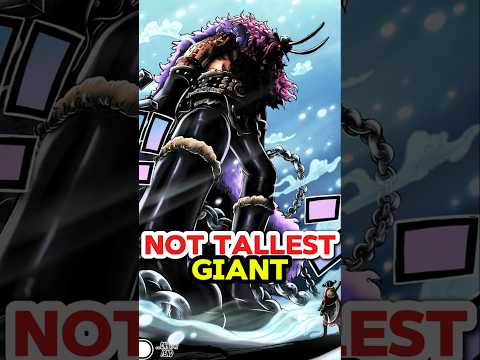 Loki is not the tallest giant #shorts #onepiece
