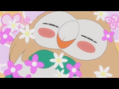 Rowlet AMV - We Don't Care [Sigala, The Vamps]