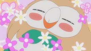 Rowlet AMV - We Don't Care [Sigala, The Vamps]