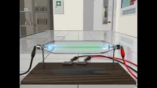 Esperimento di Thompson