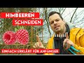 Himbeeren Schneiden Schnell Einfach Erklärt Für Anfänger