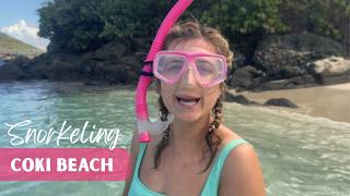 Guide to Snorkeling at Coki Beach, St. Thomas Cruise Port
