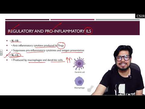 Inflammation animation Steps of inflammatory response Shomu s Biology