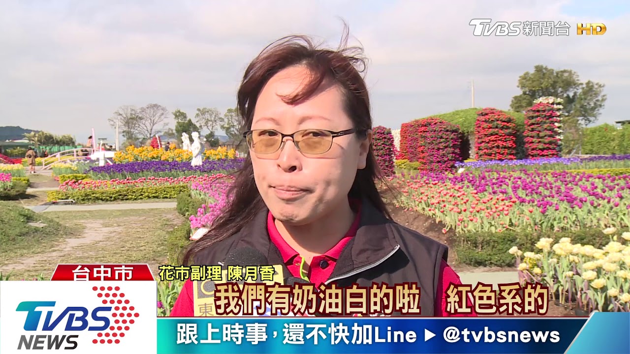 浪漫!台中后里30萬株鬱金香 輪番綻放
