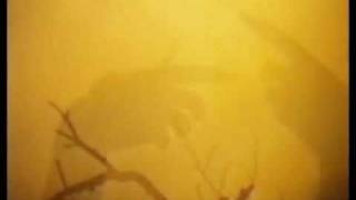 Sopor Aeternus - And Bringer of Sadness