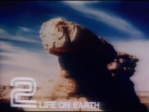 Tuesday 3rd April 1979 BBC2 - Life On Earth - David Attenborough - Play Of The Week - Call My Bluff