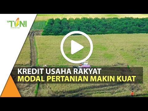 , title : 'Kredit Usaha Rakyat Membuat Modal Pertanian Semakin Kuat'